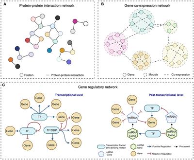 Recent advances in exploring transcriptional regulatory landscape of crops
